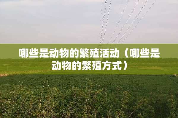 哪些是动物的繁殖活动（哪些是动物的繁殖方式）