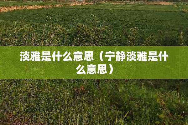 淡雅是什么意思（宁静淡雅是什么意思）