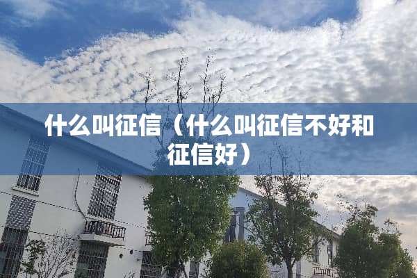 什么叫征信（什么叫征信不好和征信好）