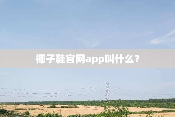 椰子鞋官网app叫什么？