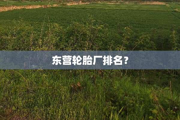 东营轮胎厂排名？
