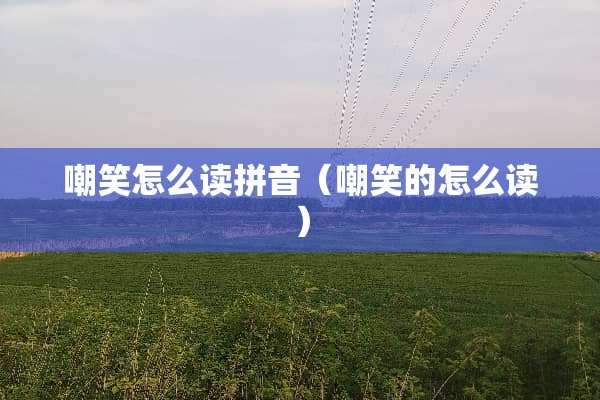 嘲笑怎么读拼音（嘲笑的怎么读）