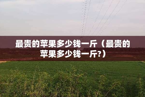 最贵的苹果多少钱一斤（最贵的苹果多少钱一斤?）