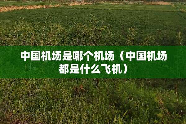 中国机场是哪个机场（中国机场都是什么飞机）
