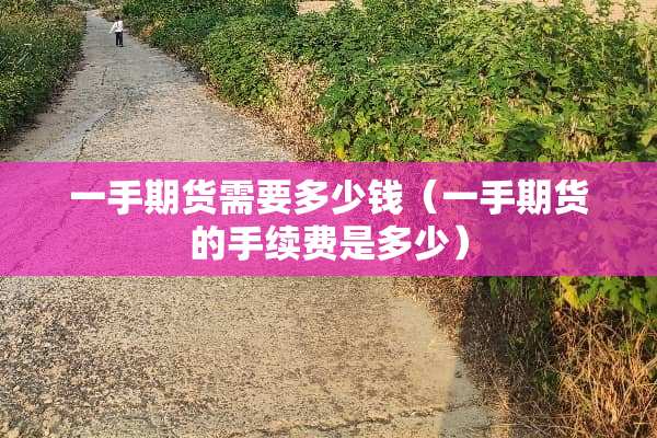 一手期货需要多少钱（一手期货的手续费是多少）
