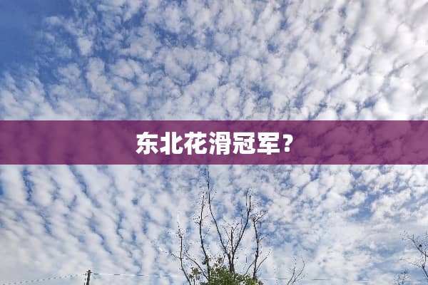 东北花滑冠军？