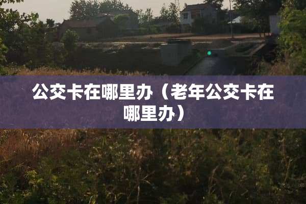 公交卡在哪里办（老年公交卡在哪里办）