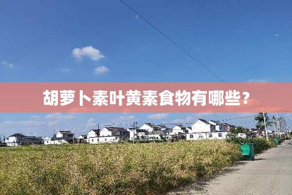 胡萝卜素叶黄素食物有哪些？