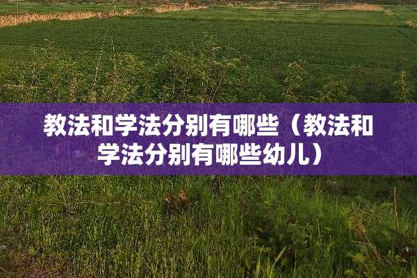 教法和学法分别有哪些（教法和学法分别有哪些幼儿）