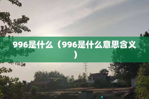 996是什么（996是什么意思含义）