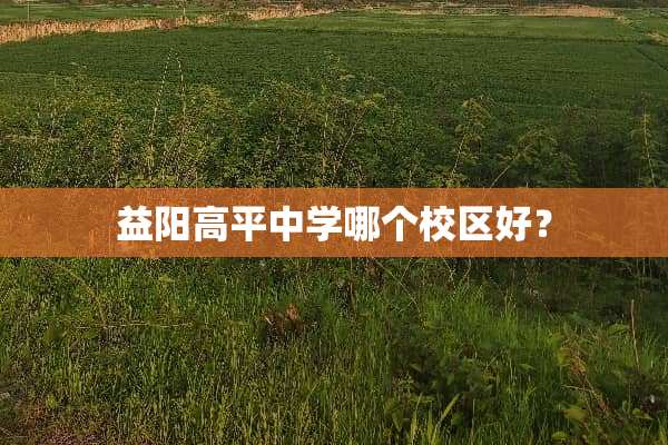益阳高平中学哪个校区好？