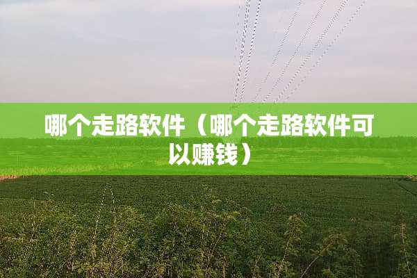 哪个走路软件（哪个走路软件可以赚钱）