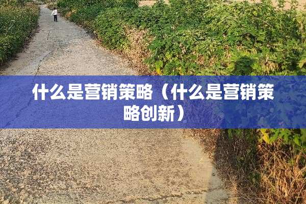 什么是营销策略（什么是营销策略创新）