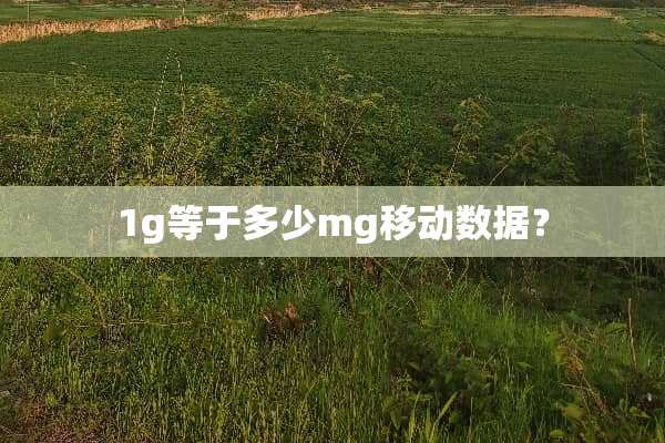 1g等于多少mg移动数据？