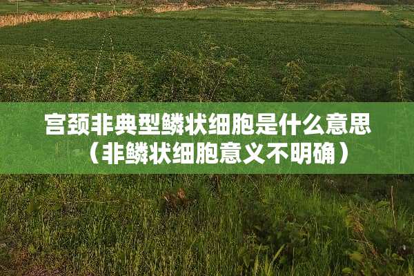 宫颈**型鳞状细胞是什么意思（非鳞状细胞意义不明确）