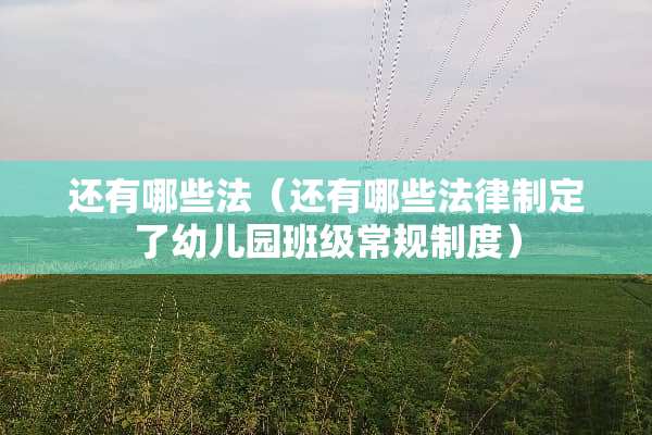 还有哪些法（还有哪些法律制定了幼儿园班级常规制度）