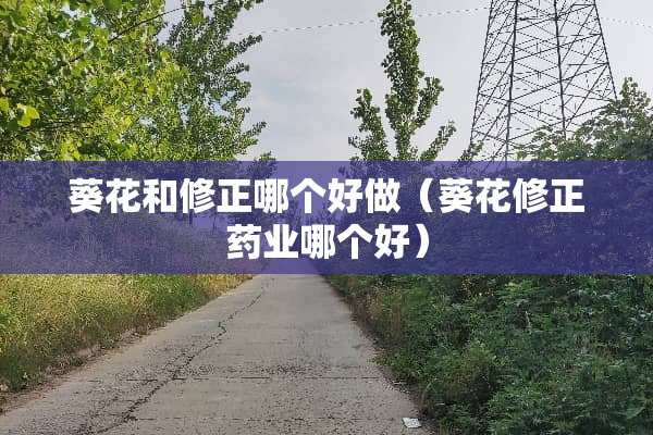 葵花和修正哪个好做（葵花修正药业哪个好）