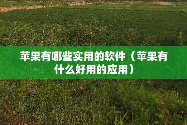 苹果有哪些实用的软件（苹果有什么好用的应用）