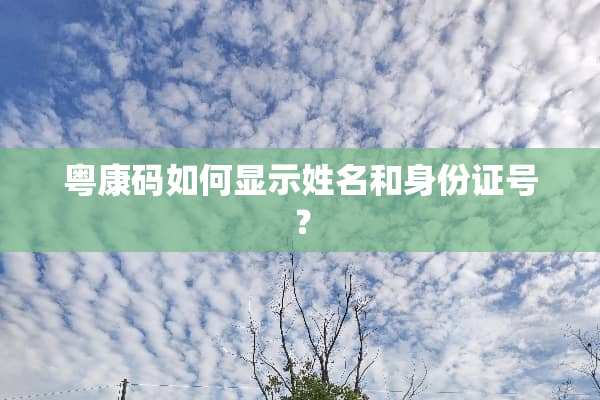 粤康码如何显示姓名和***号？