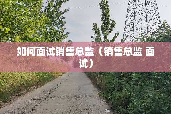 如何面试销售总监（销售总监 面试）