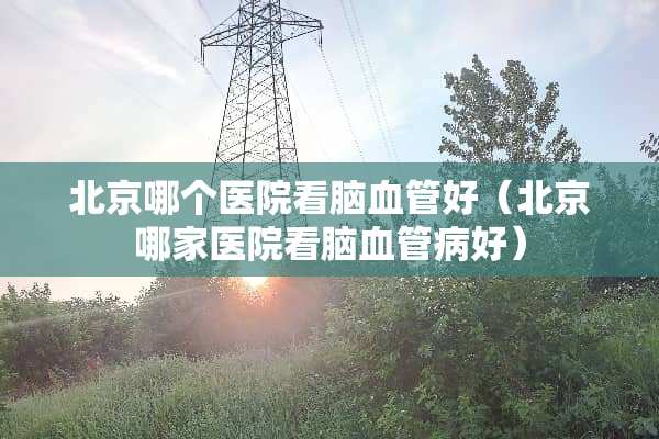 北京哪个医院看脑血管好（北京哪家医院看脑血管病好）