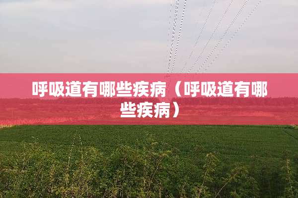 呼吸道有哪些疾病（呼吸道有哪些疾病）