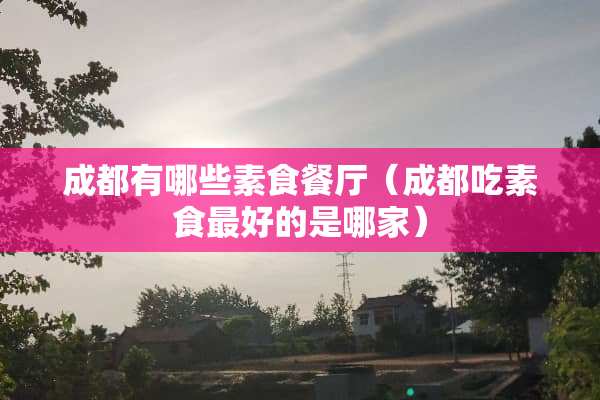 成都有哪些素食餐厅（成都吃素食最好的是哪家）