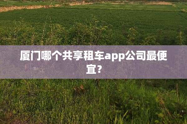 厦门哪个共享租车app公司最便宜？