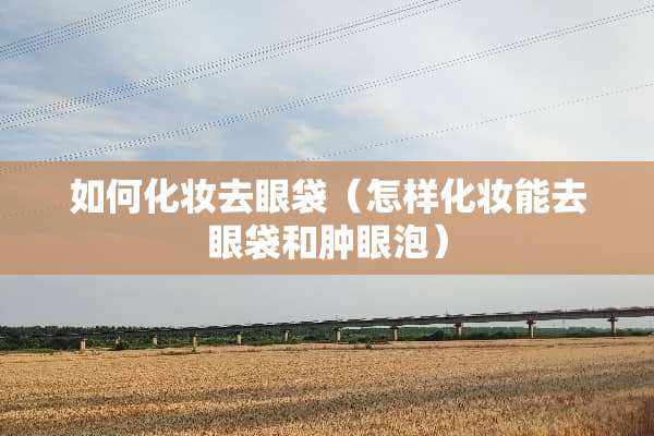 如何化妆去眼袋（怎样化妆能去眼袋和肿眼泡）