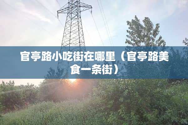 官亭路小吃街在哪里（官亭路美食一条街）