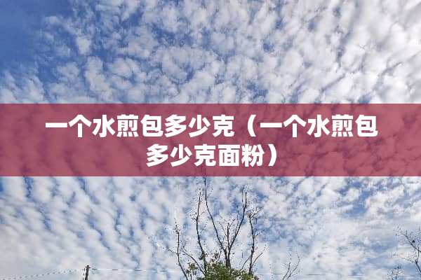 一个水煎包多少克（一个水煎包多少克面粉）
