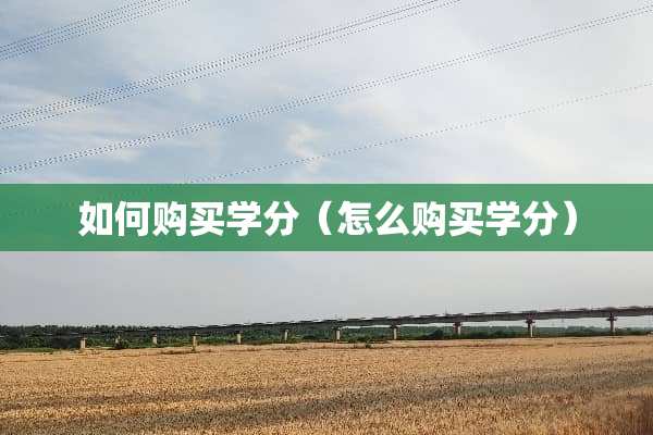 如何购买学分（怎么购买学分）