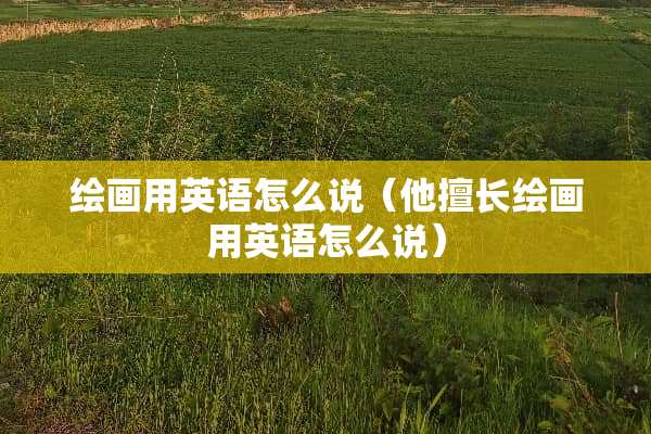绘画用英语怎么说（他擅长绘画用英语怎么说）