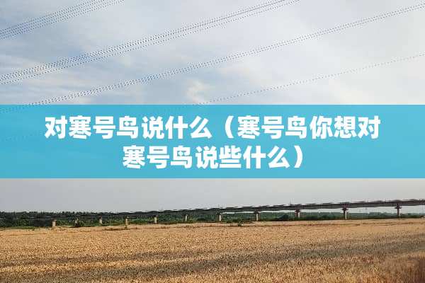 对寒号鸟说什么（寒号鸟你想对寒号鸟说些什么）