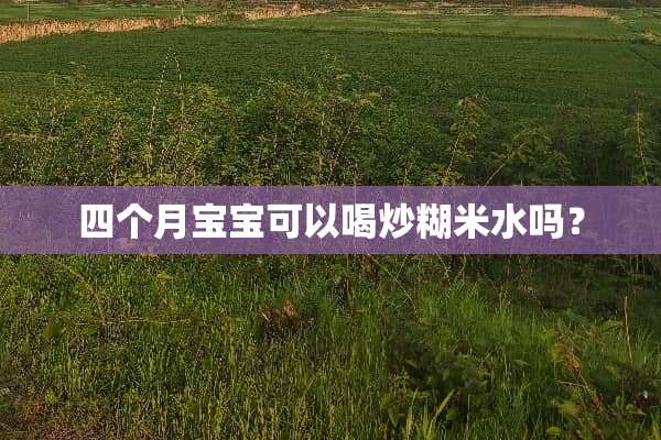 四个月宝宝可以喝炒糊米水吗？