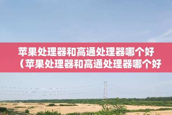 苹果处理器和高通处理器哪个好（苹果处理器和高通处理器哪个好些）