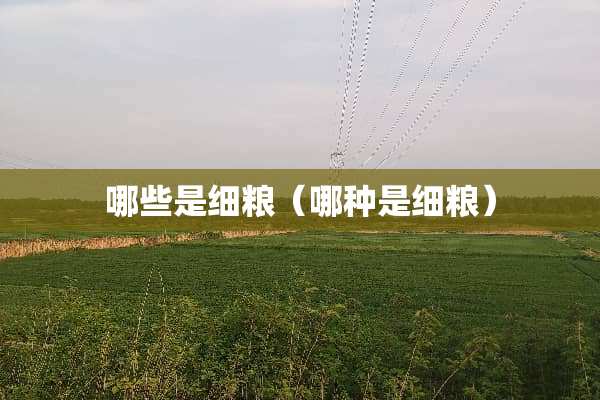 哪些是细粮（哪种是细粮）