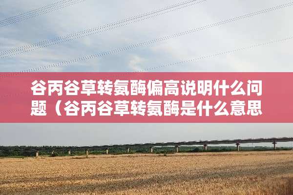 谷丙谷草转氨酶偏高说明什么问题（谷丙谷草转氨酶是什么意思）