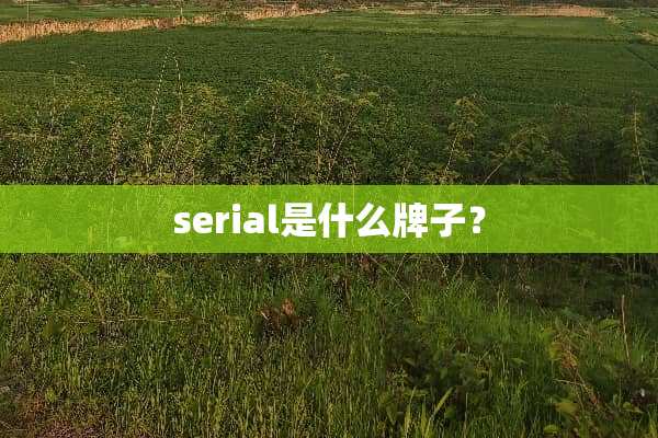 serial是什么牌子？
