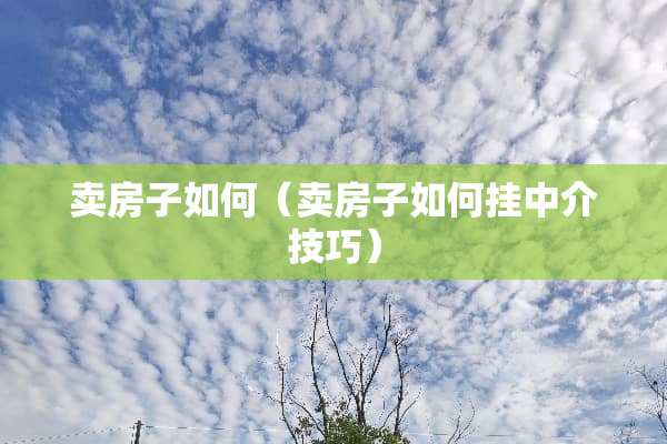 卖房子如何（卖房子如何挂中介技巧）