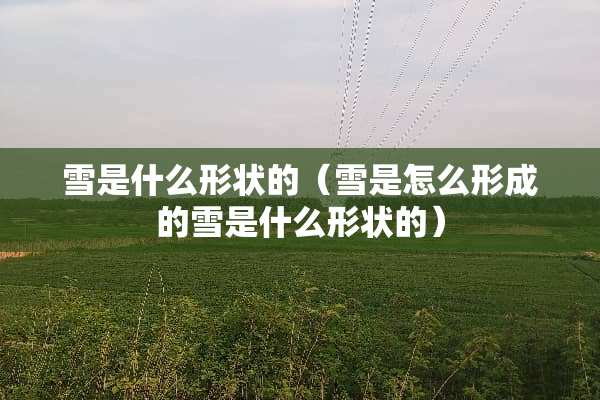 雪是什么形状的（雪是怎么形成的雪是什么形状的）