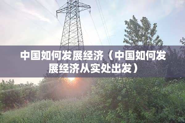 中国如何发展经济（中国如何发展经济从实处出发）