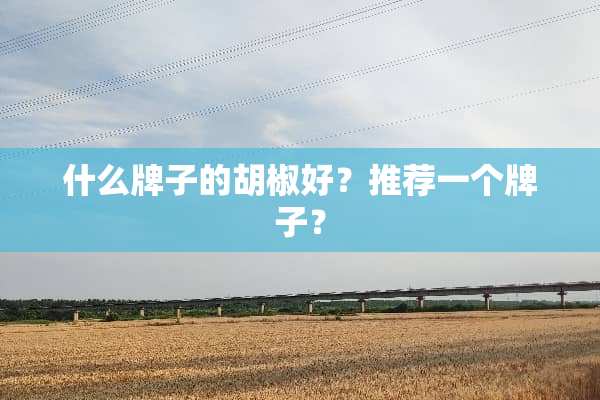 什么牌子的胡椒好？推荐一个牌子？