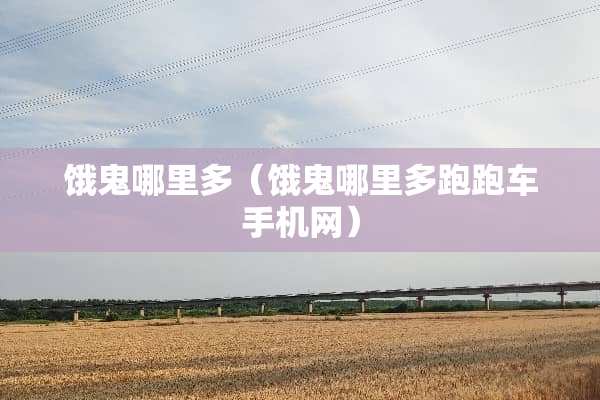 饿鬼哪里多（饿鬼哪里多跑跑车手机网）