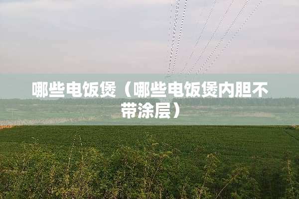 哪些电饭煲（哪些电饭煲内胆不带涂层）