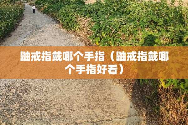 鼬戒指戴哪个手指（鼬戒指戴哪个手指好看）