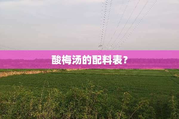 酸梅汤的配料表？