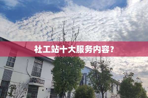 社工站十大服务内容？
