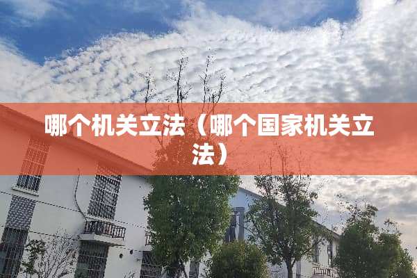 哪个机关立法（哪个国家机关立法）