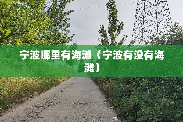 宁波哪里有海滩（宁波有没有海滩）